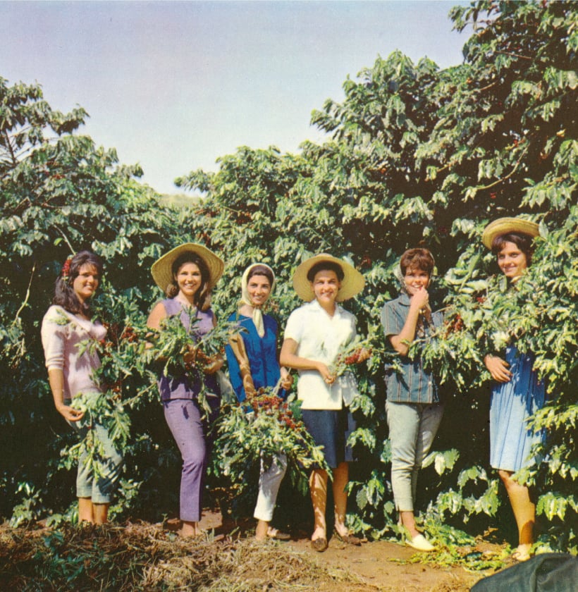 prirodna kava - metoda ekstrakcije